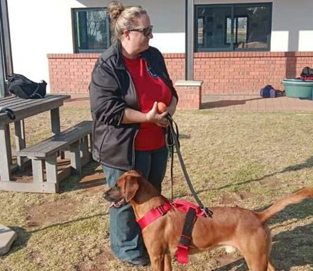 Beloved rescue dogs poisoned during house robbery