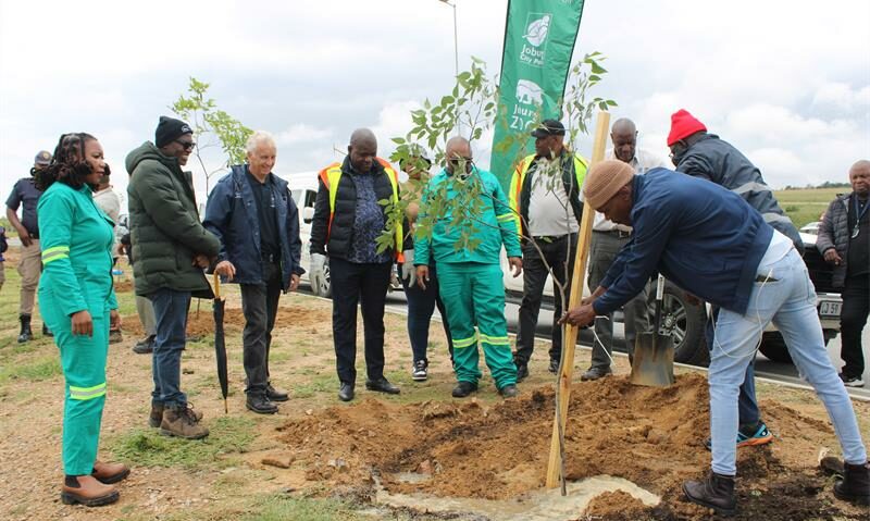 3 000 trees take root between Fourways and Diepsloot in record City Parks drive