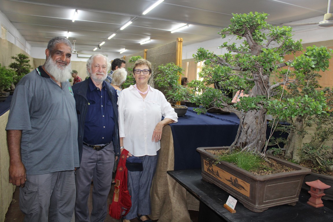 Don’t miss out on Bonsai Show at Durban Botanic Gardens Highway Mail