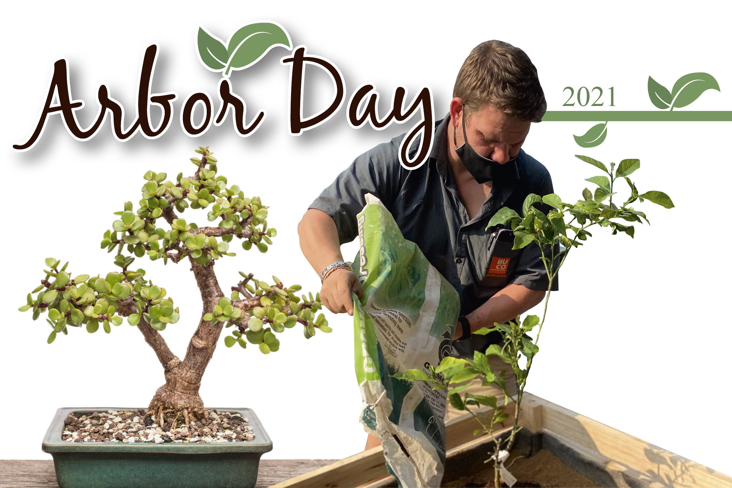 Arbor week is around the corner Lowvelder