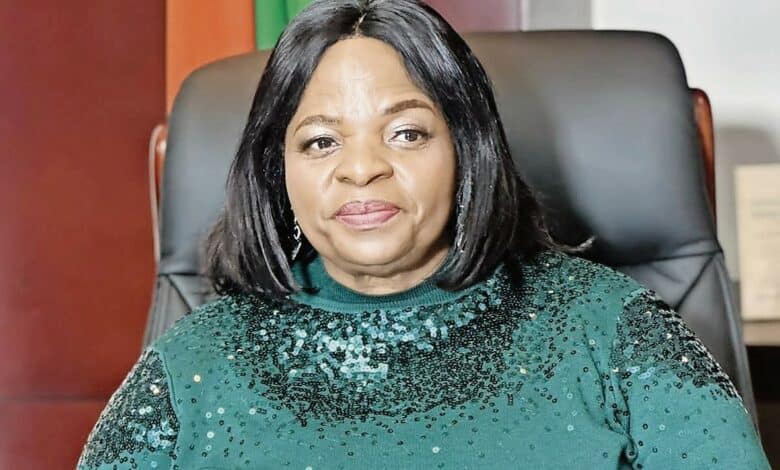 Mpumalanga MEC for education urges parents to register their kids for 