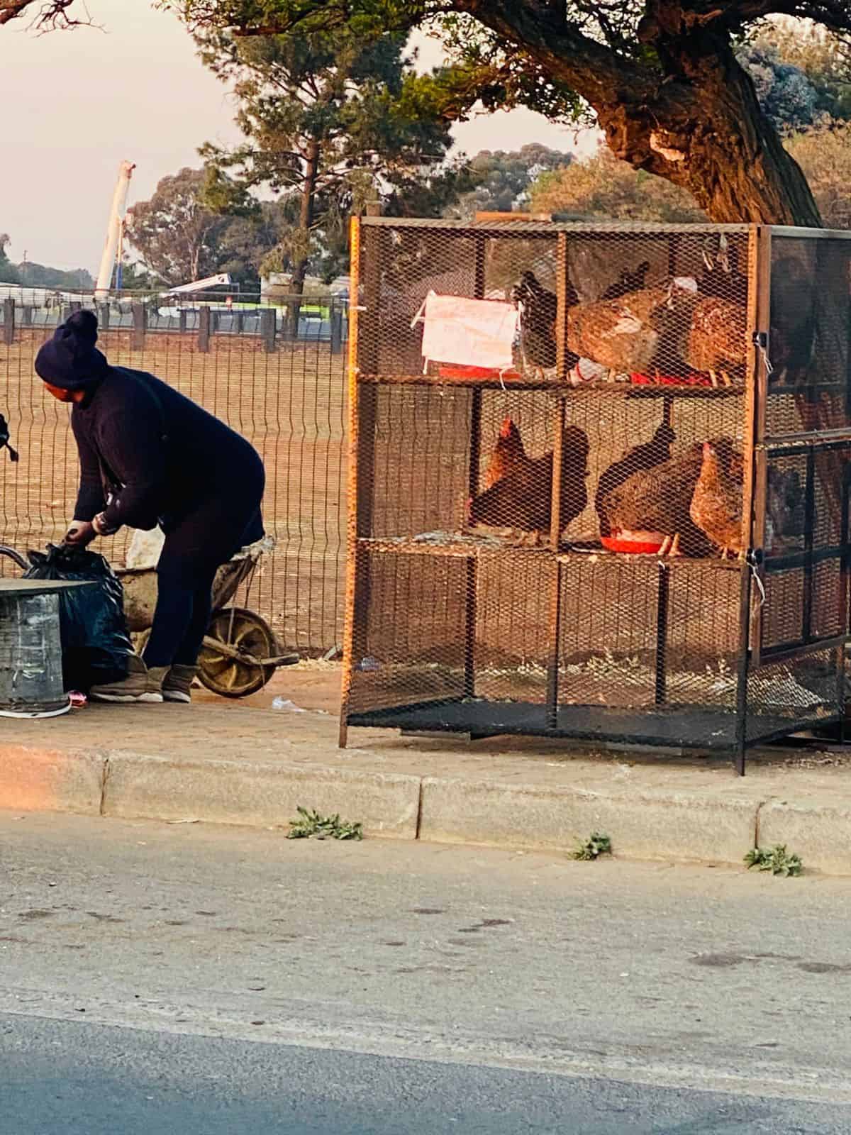 President Park resident is wary of growing number of vendors | Midrand ...