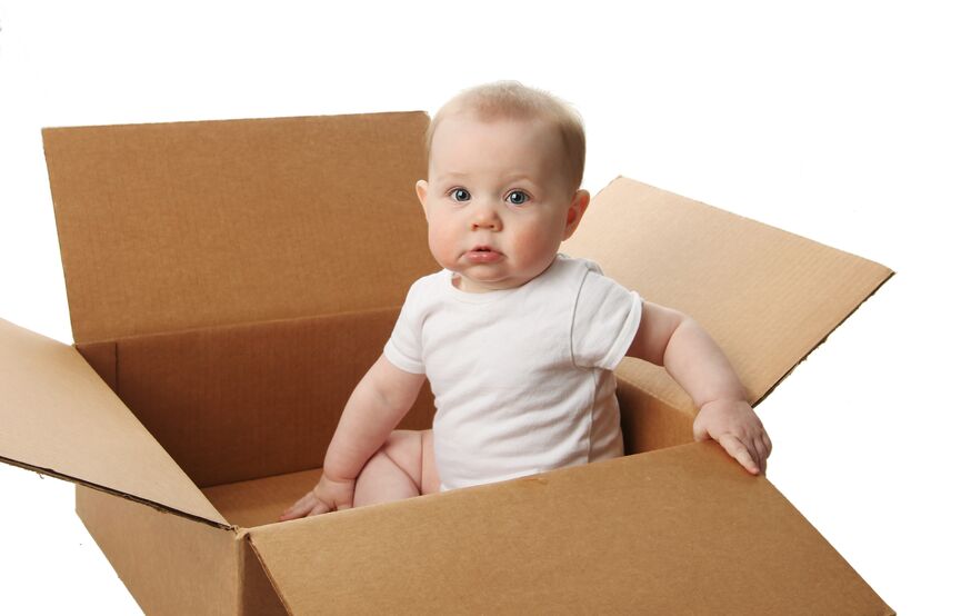 Why do babies love playing with cardboard boxes? Network News