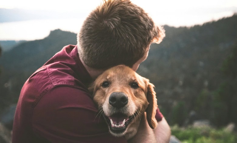 Why deworming your dog regularly is a must – for your health too