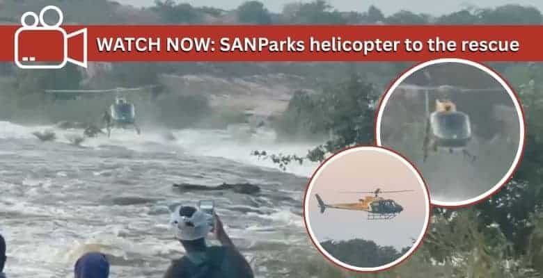 Videos: 2 men rescued from raging Komati River by SANParks chopper ...