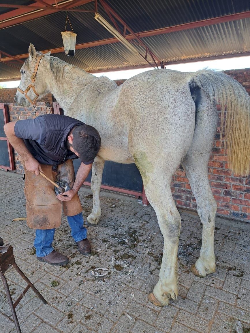 Paard Hoefsmid Schort, Vee Hoefsmid Schort met Zak Canvas Paardenstal Schort Boerderij Accessoires voor Tuin