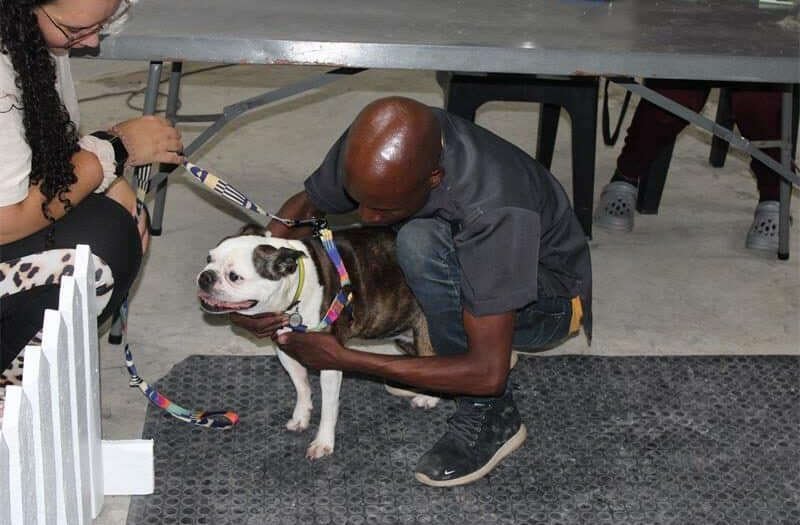 Pet Connect South Africa and Spaniel Rescue SA hold event to microchip, vaccinate, and deworm Randburg’s pets