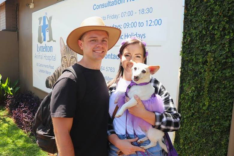 Dog lovers paint Pretoria purple 7 Screenshot2023 10 73795 e1696315919931