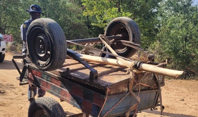 Donkey carts used to smuggle people and goods found near Beitbridge - Vimarsana News