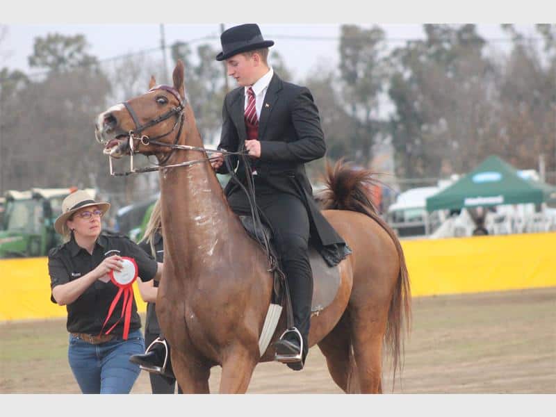 Riders trot to success at Standerton Show Ridge Times