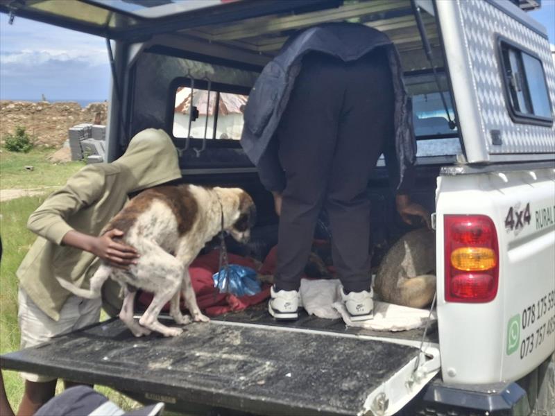 Non-profit makes positive impact on pets in Mzamba