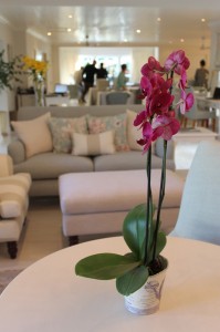 The Last Word Franschhoek opened a new upstairs wing earlier this year. Pictures: Bruce Dennill
