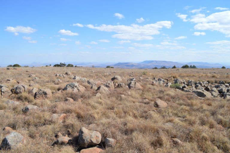 The land is dry. Picture: Northern KwaZulu-Natal Courier