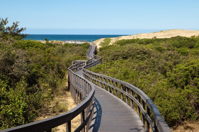 walkway-from-ph-karridene-beach-to-beach-768x512