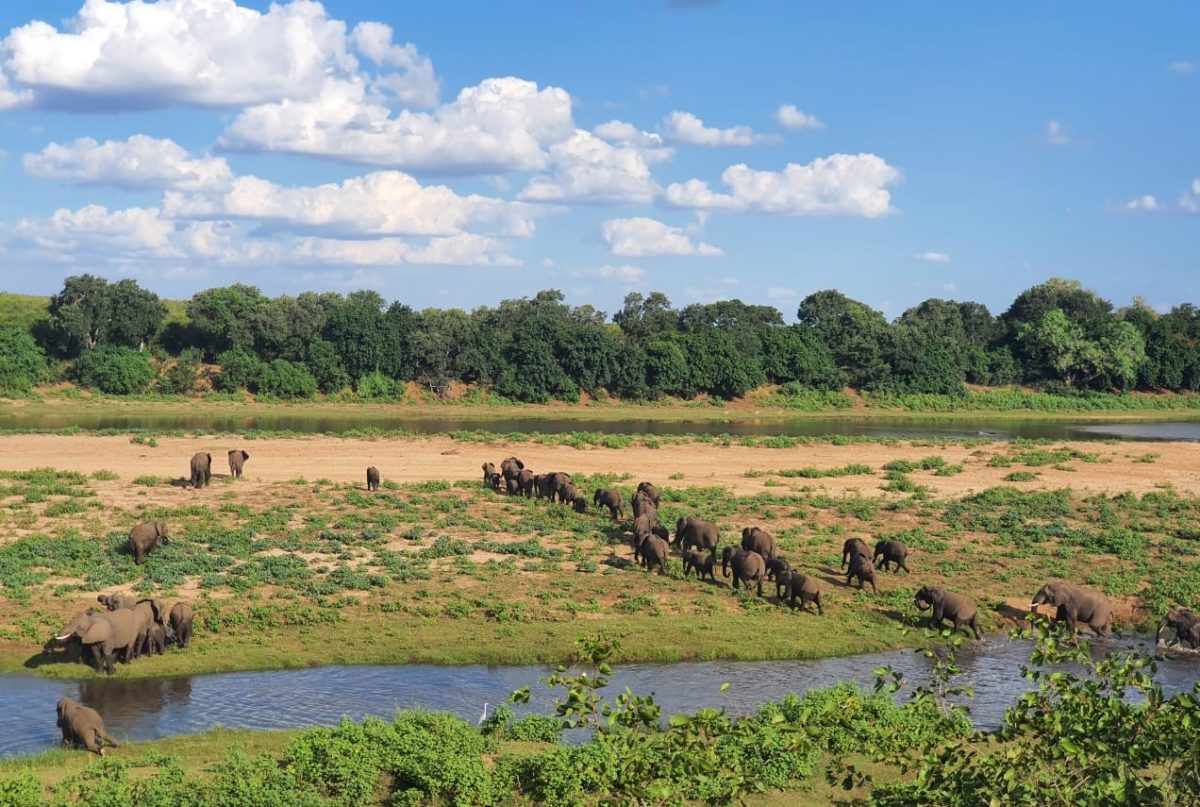Letaba river aerial view