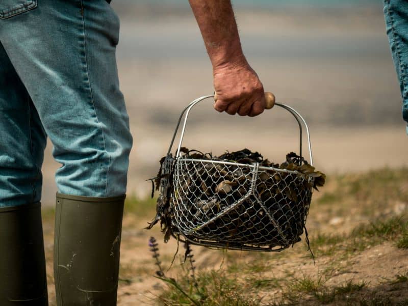 KZN shellfish collectors called on to participate in conservation ...